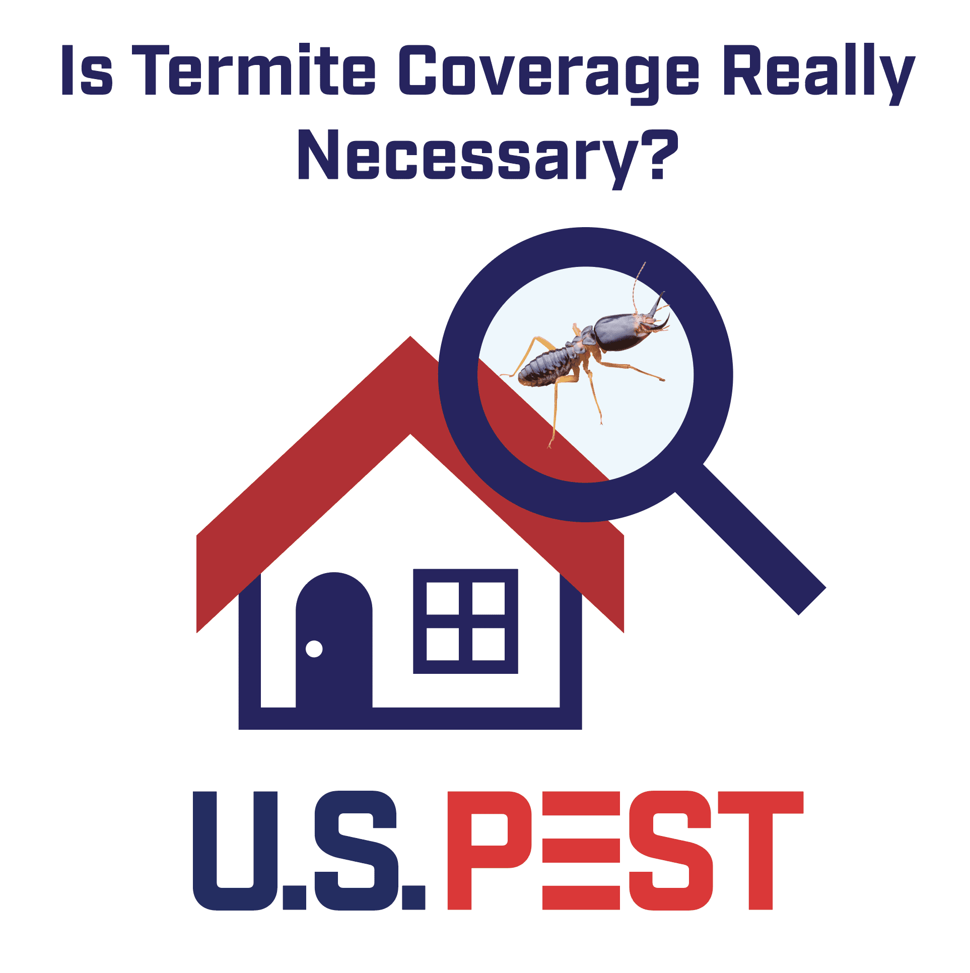 Is Termite Protection Really Necessary U S Pest Protection