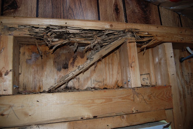 A frame of a house damaged by termites.