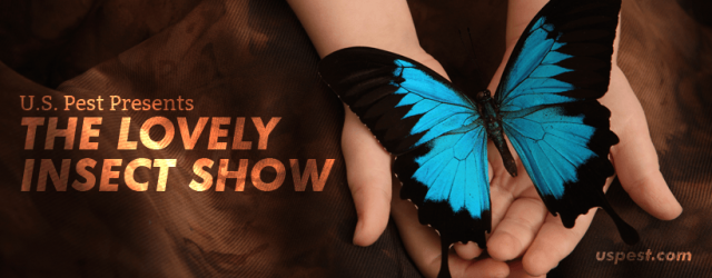 U.S. Pest Presents The Lovely Insect Show