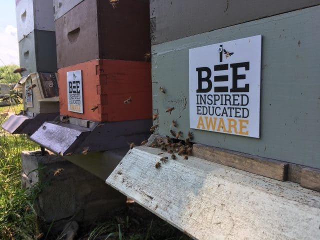 Four U.S. Pest Bee Aware beehives.