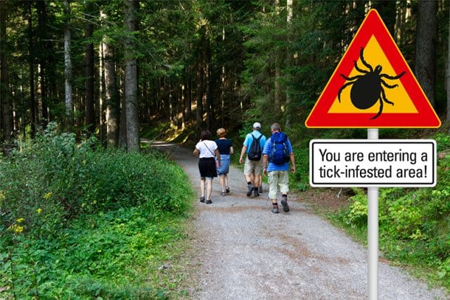 "You are entering a tick-infested area!" warning sign on a hiking trail.