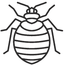 bed-bug-control-removal