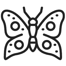 Pest-Control-Home-Page-Butterfly-Icon