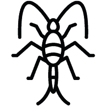 Pest-Control-Home-Page-Silverfish-Icon