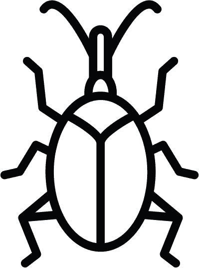 occasional-invaders-weevil