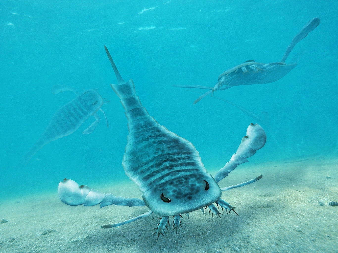 Giant Sea Scorpion