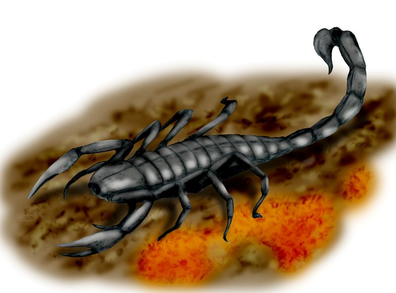 Giant Land Scorpion