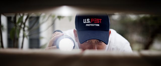 A U.S. Pest Protection technician using a flashlight to examine a home.