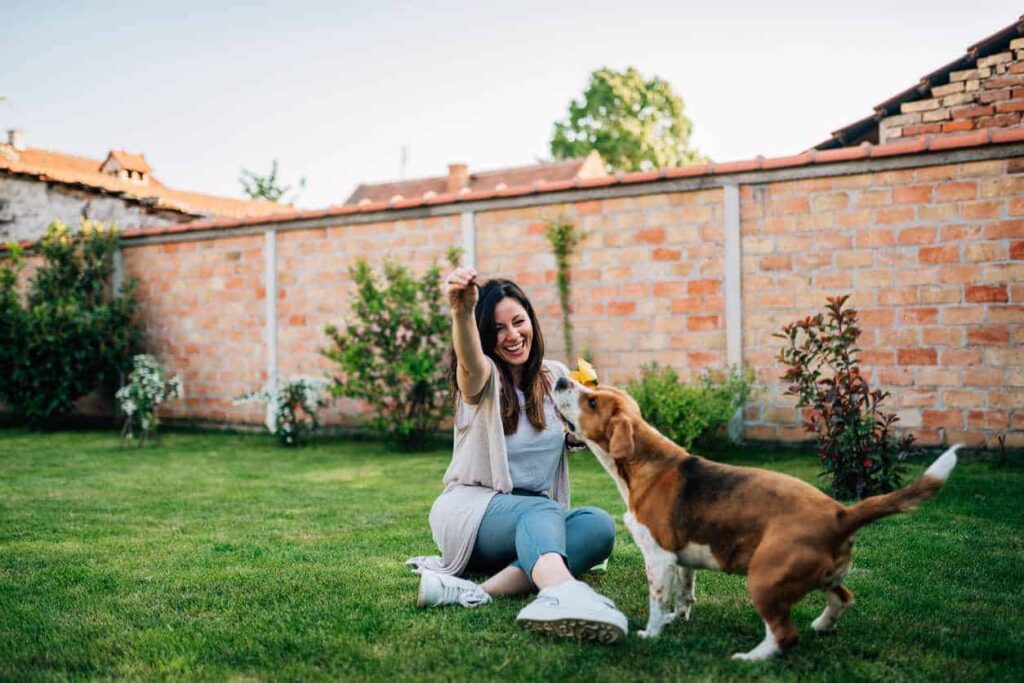 A woman in Hendersonville is playing with her dog outdoors after U.S. Pest tick treatments.