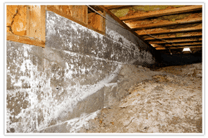 us-pest-crawlspace