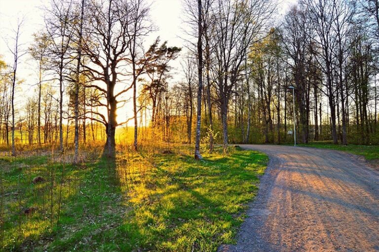 A dirt road walking trail at sunset in Tennessee.