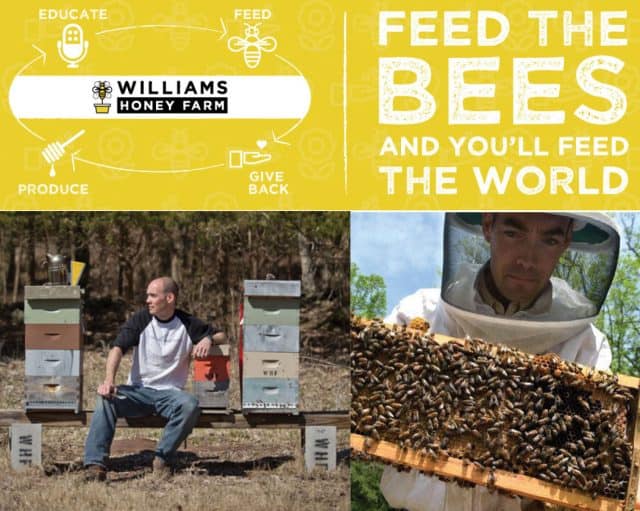 William Honey Farm informational graphic with images of a bee charmer and Feed the Bees and You'll Feed the World at the top.