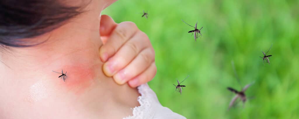 A person applying insect repellent to their neck while surrounded by multiple mosquitoes against a blurred green background.