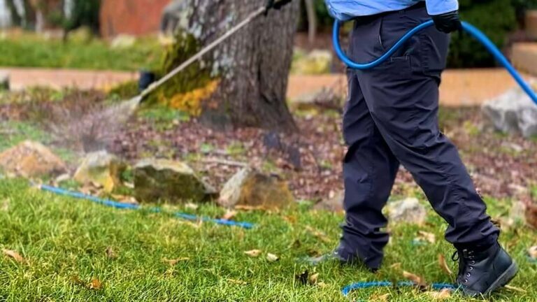 We know Tennessee bugs. Do you?