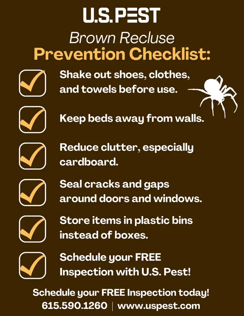 Brown Recluse Prevention Checklist