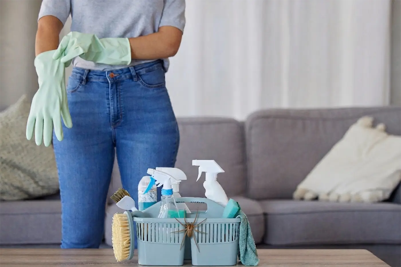 spring cleaning pests