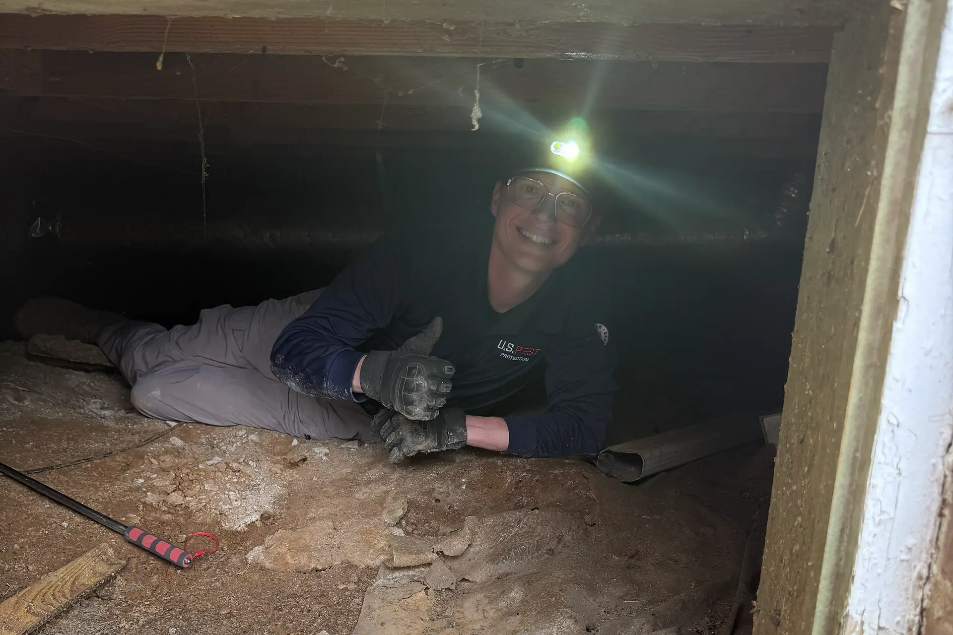 Termite-swarms Inspection.