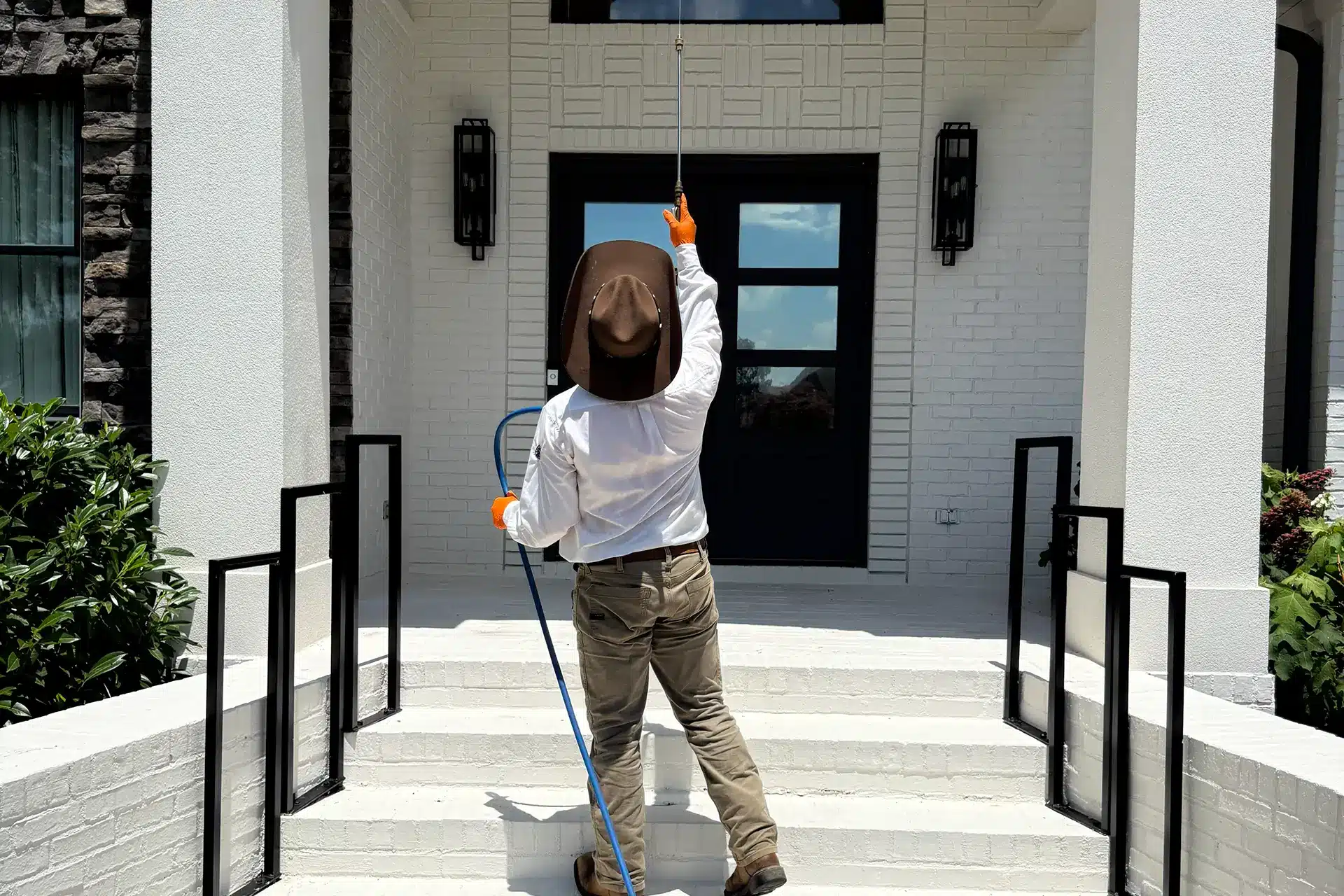 Common Myths Homeowners STILL Believe About Pests