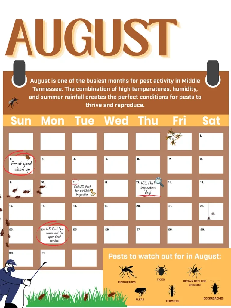 If You Live in Middle Tennessee: How to Prepare Your Home for Pest Activity in August 2 AUGUST pest control calendar