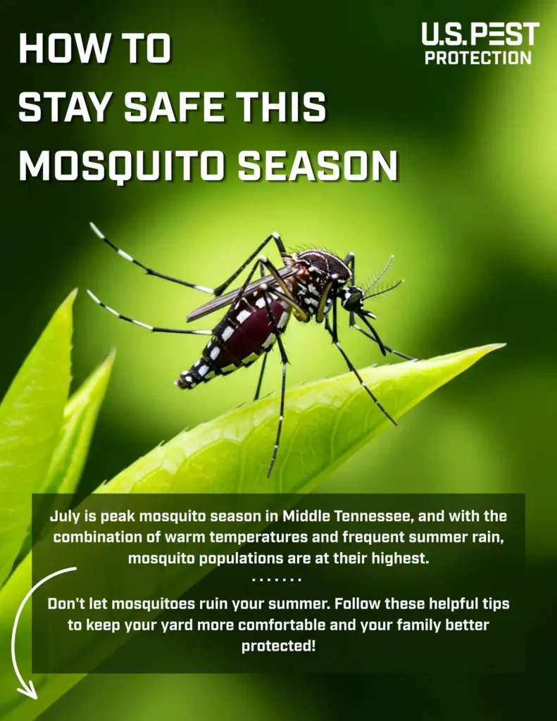 how to stay safe this mosquito season