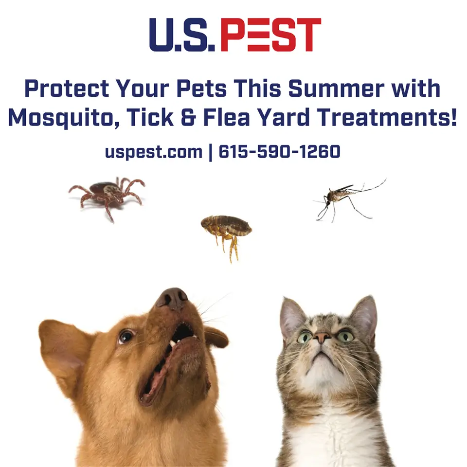 Protect your pets this summer with mosquito, tick, and flea yard treatments!