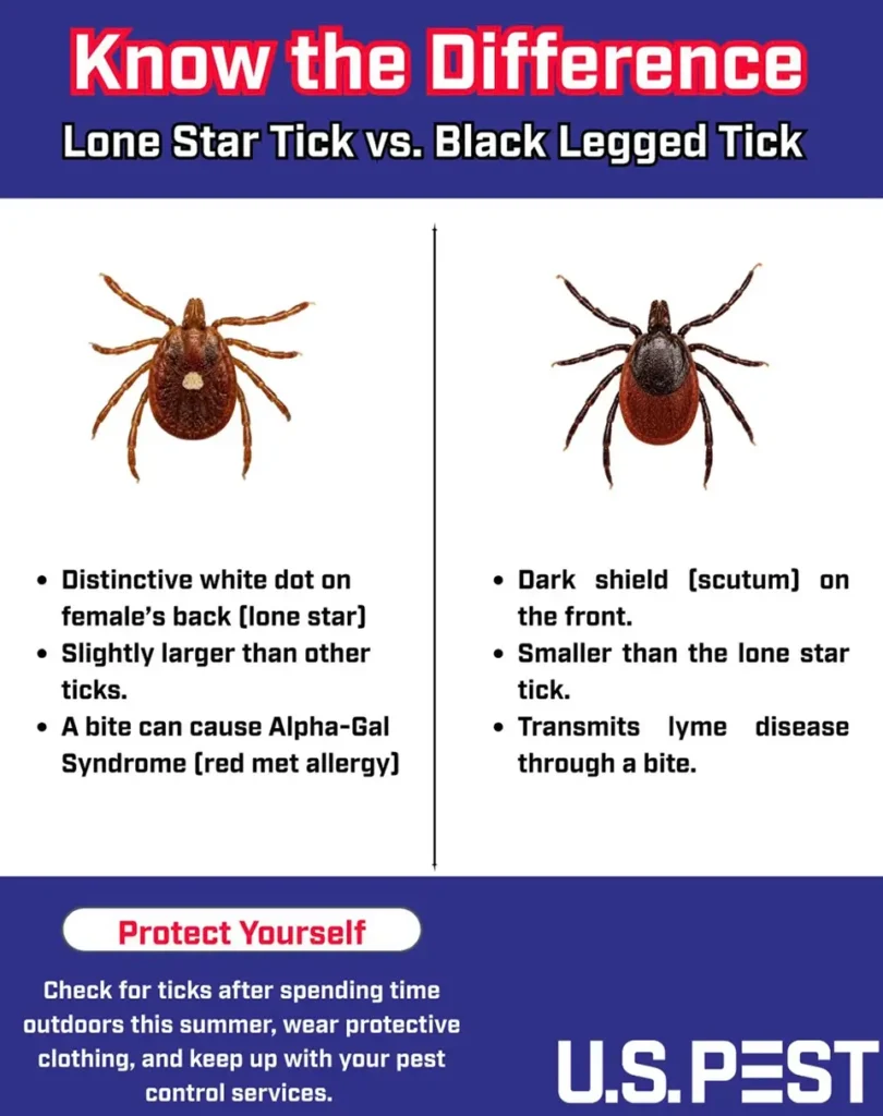 Why Tick Control Still Matters as Summer Winds Down 2 lone star tick vs black legges tick