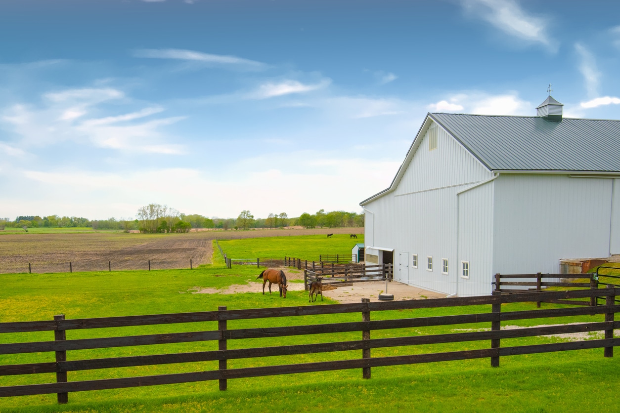 Horse barn and fenced pasture on a farm, the kind of property U.S. Pest Protection serves with farm pest control
