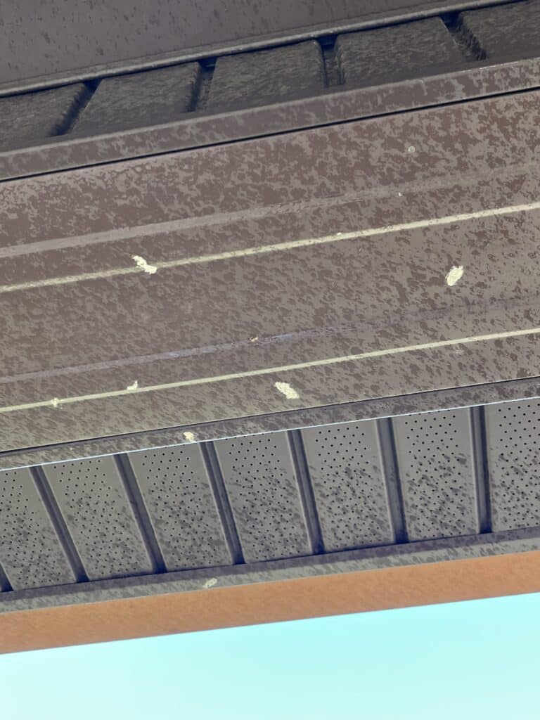 Silky moth cocoons along the eaves of a home in Bell Buckle, Tennessee
