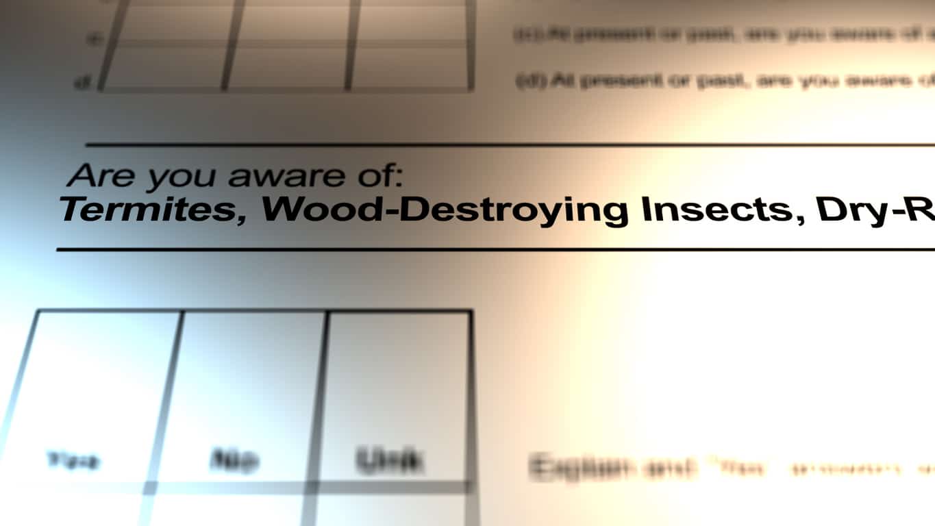 Termite Example Report