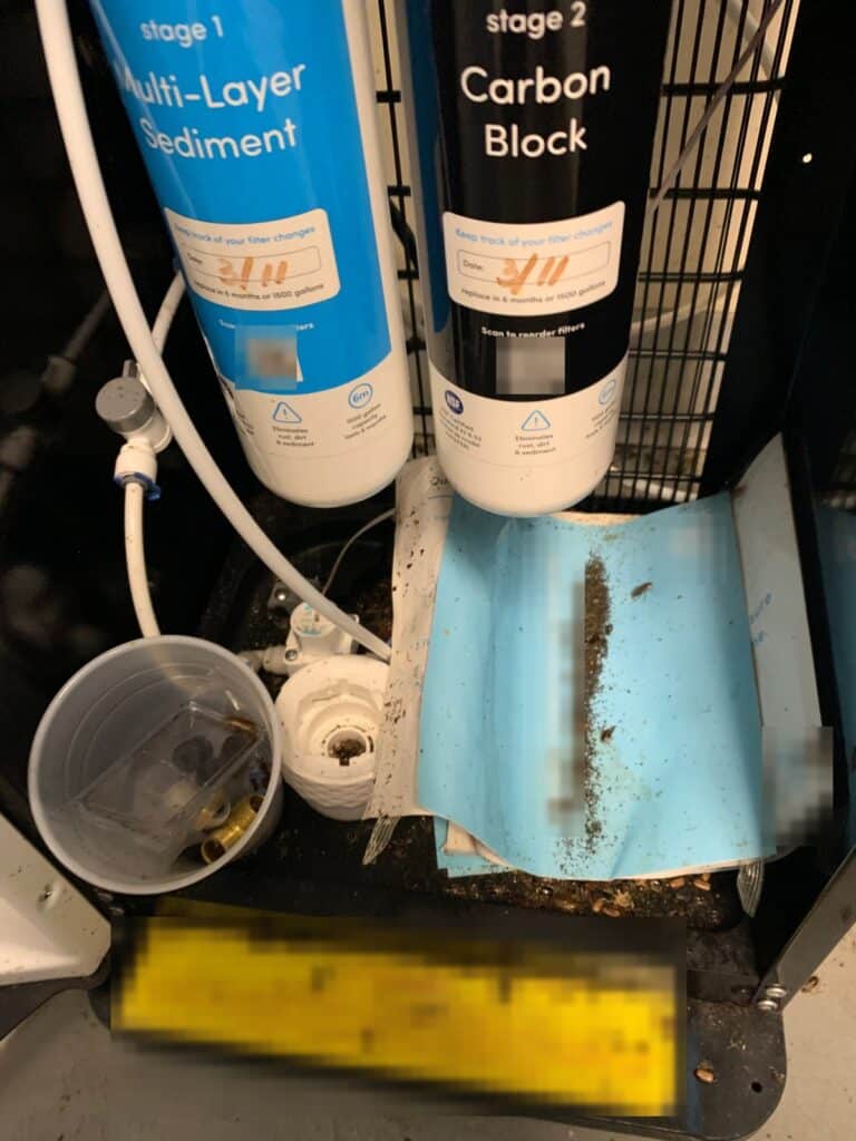 German cockroaches and a trail of droppings inside a water dispenser cabinet