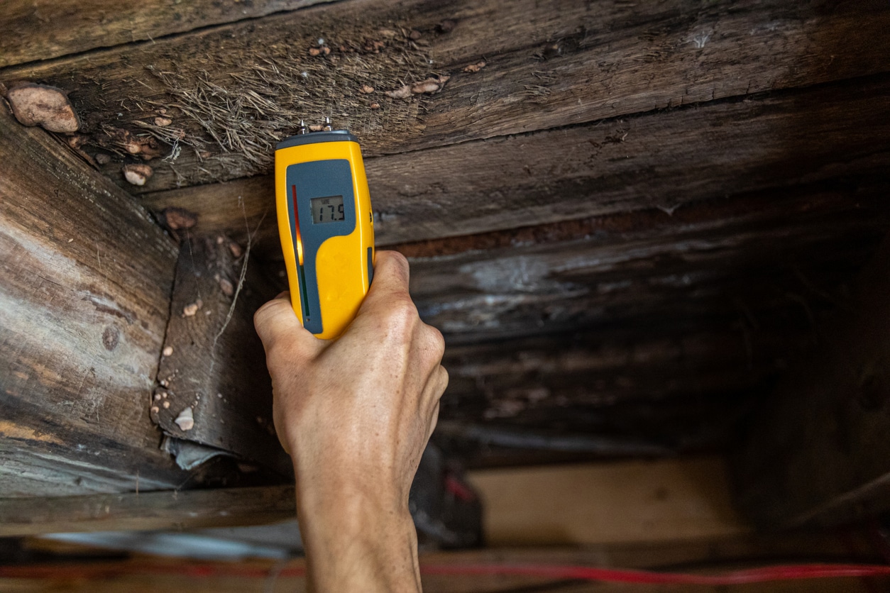 Moisture meter reading wood moisture on a crawl space joist