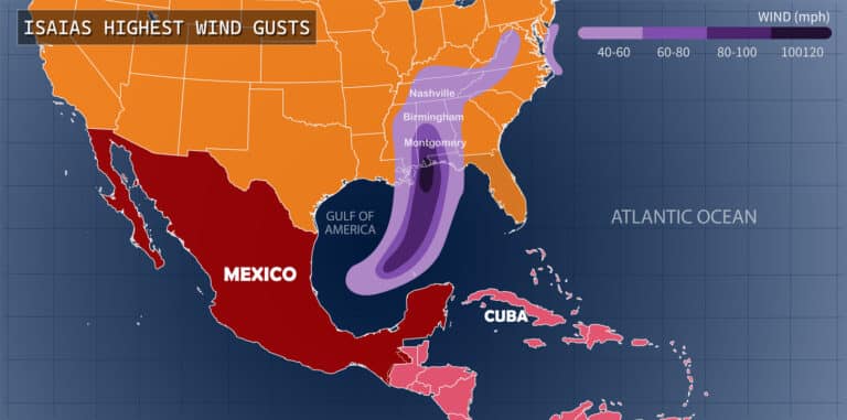 After the Hurricane Rain: What It Means for Bugs and Your Crawl Space